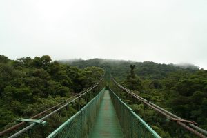 monteverde