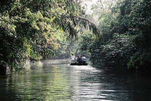 tortuguero