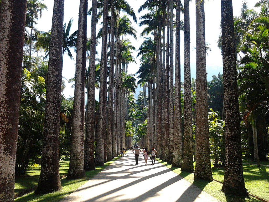 Jardin Botanico