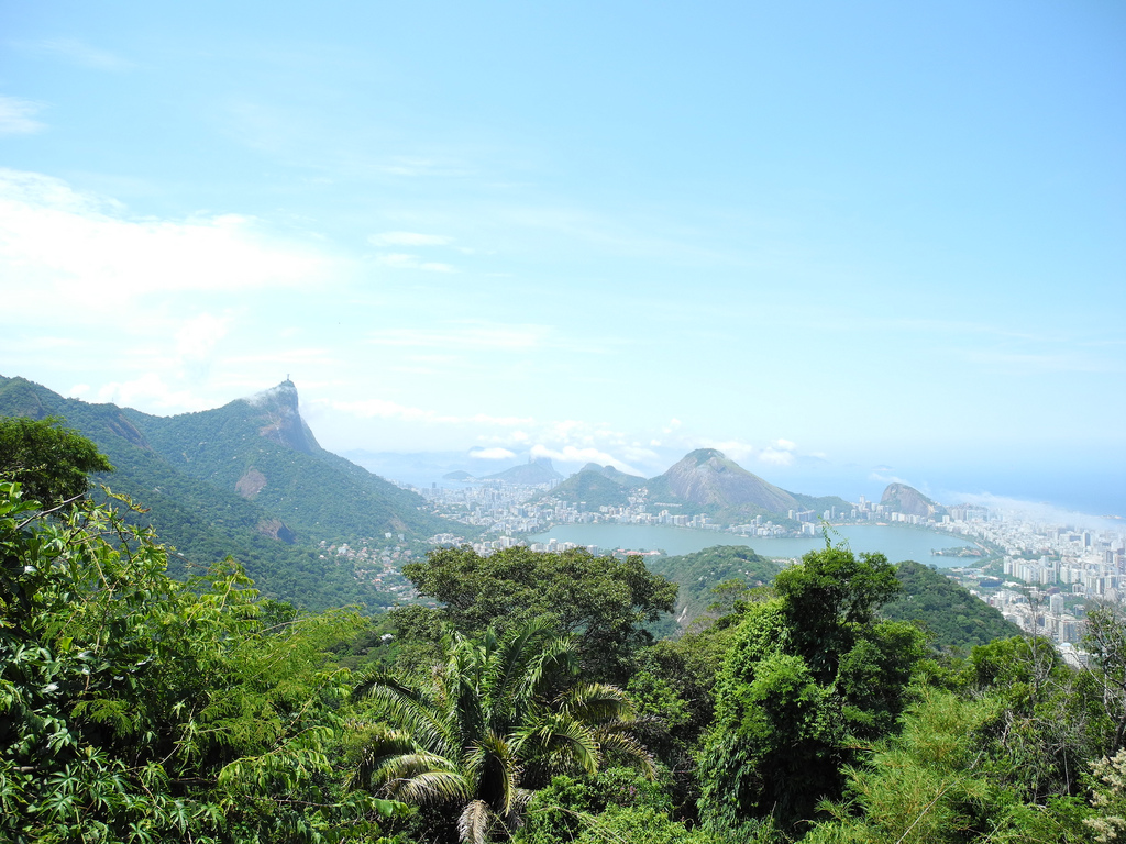 Parque Tijuca